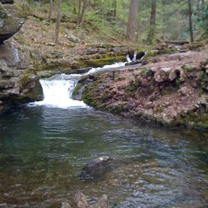 Meet your Posher, Brett